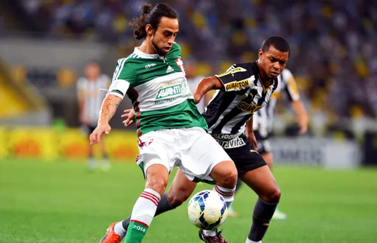 Botafogo Palmeiras Highlights