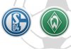 Schalke 04 Werder Bremen Expertentipp