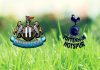 Newcastle Tottenham Expertentipp