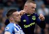 Video Brighton Everton 15 10 17